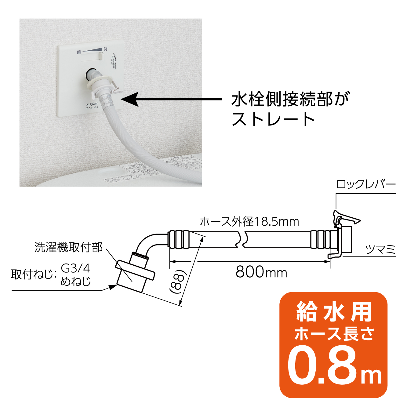 サイズ