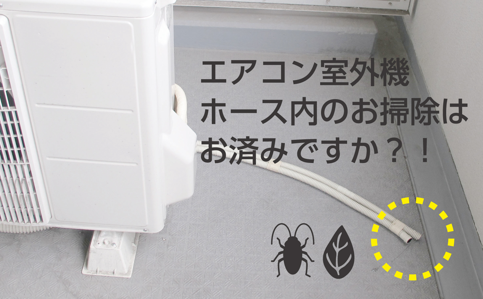 季節商品：ドレンホースクリーナー:PR871