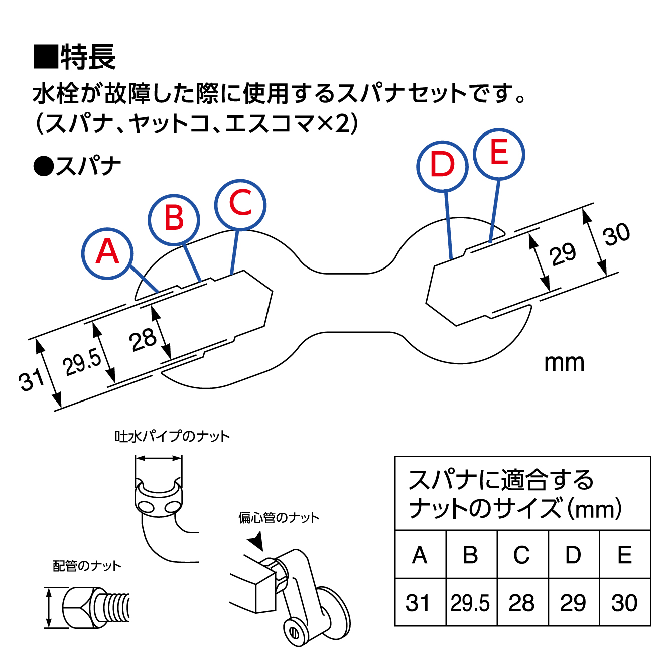 特長、サイズ