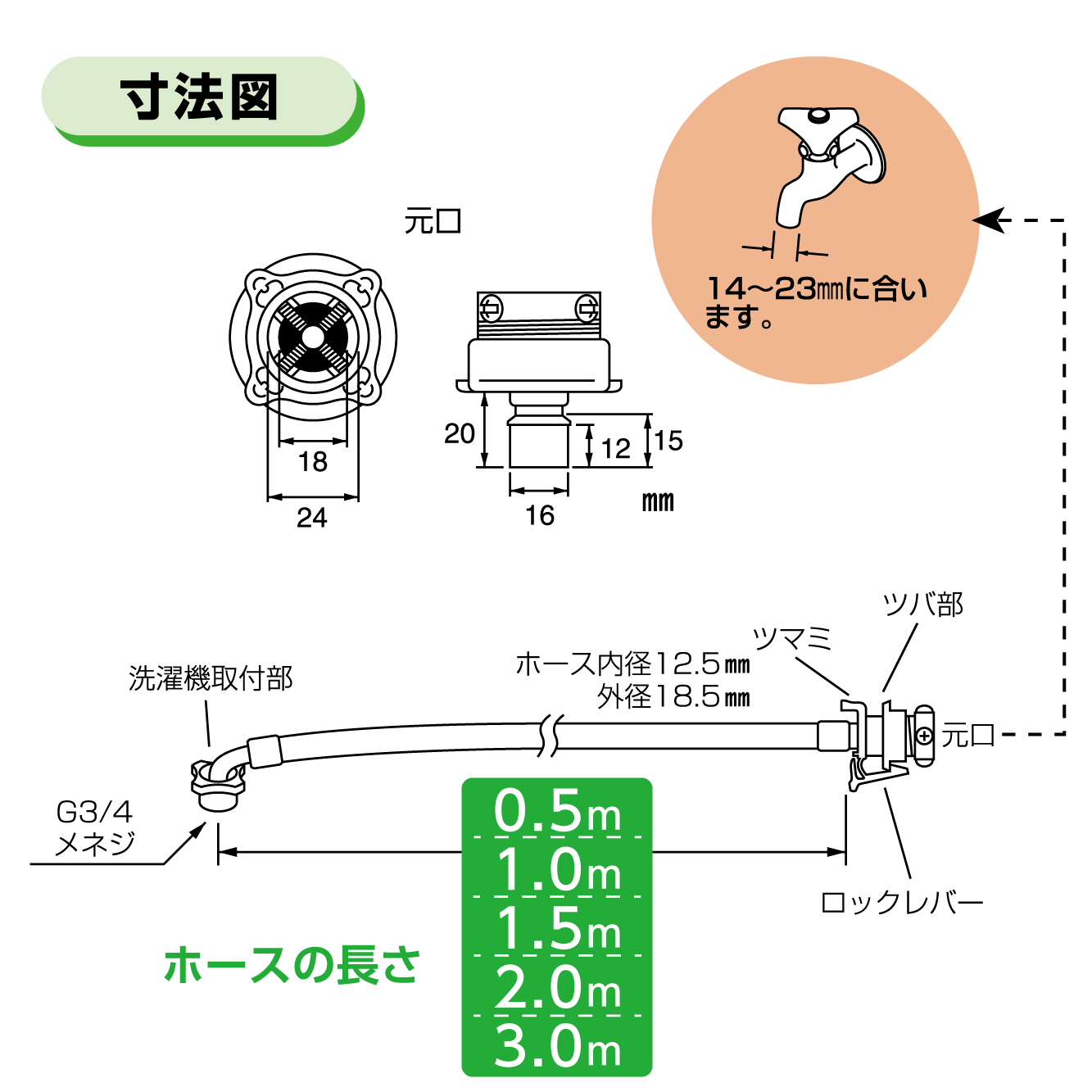 サイズ