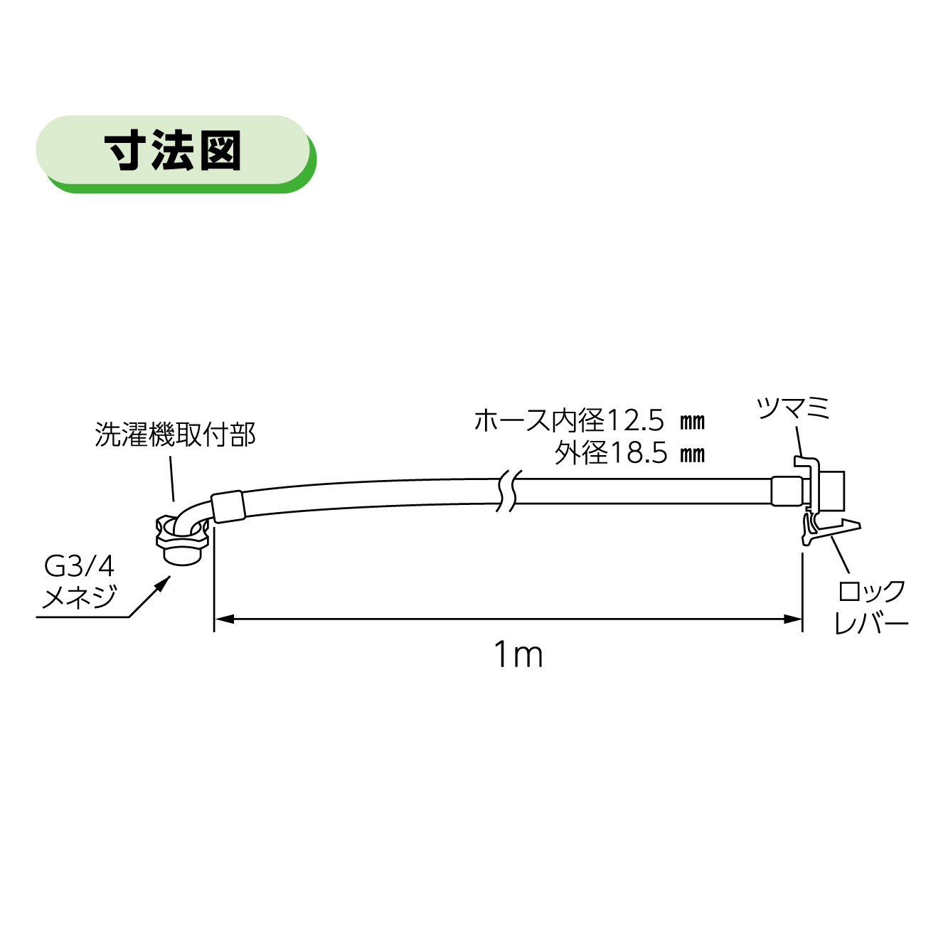 サイズ