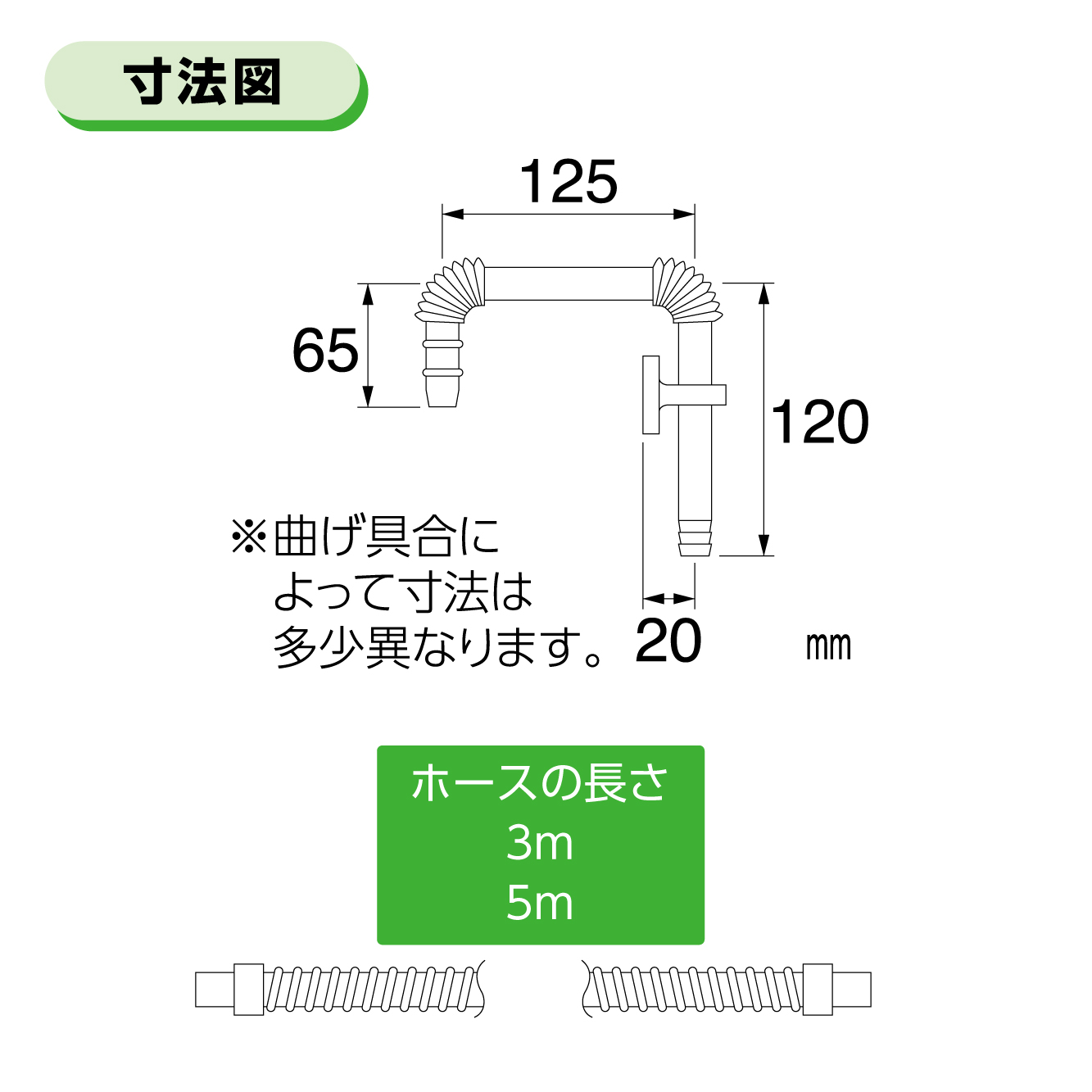 サイズ