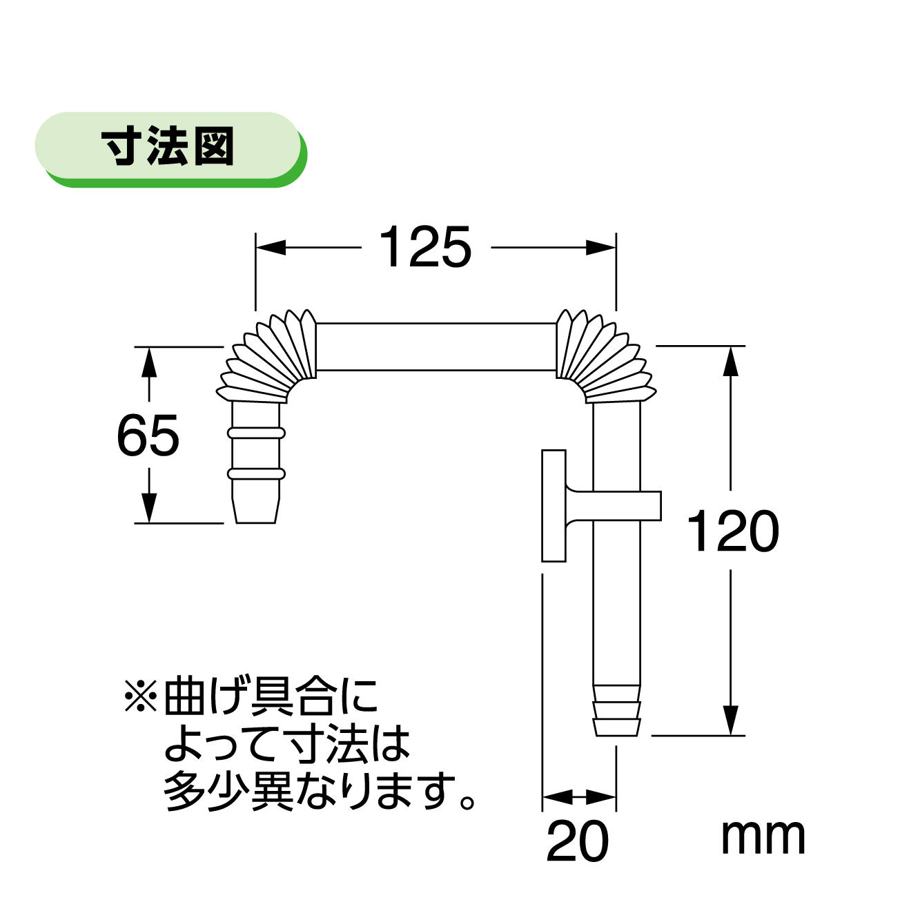 サイズ