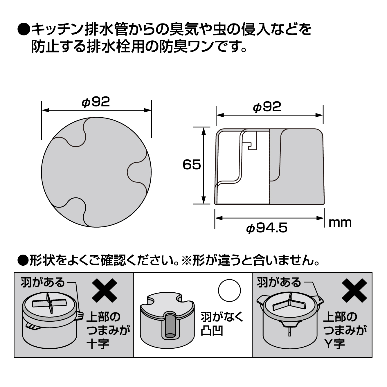 特長、サイズ