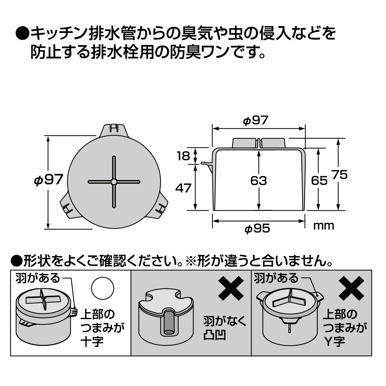 特長、サイズ