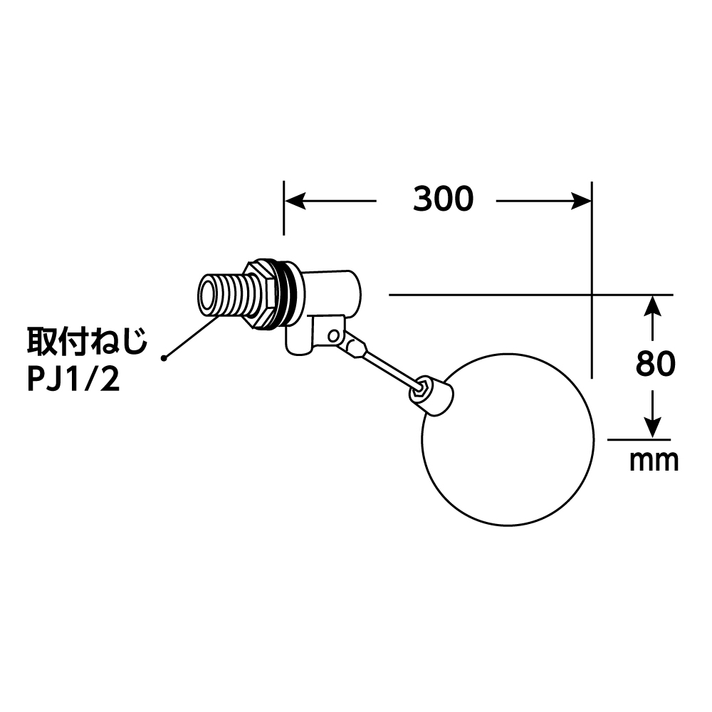 サイズ