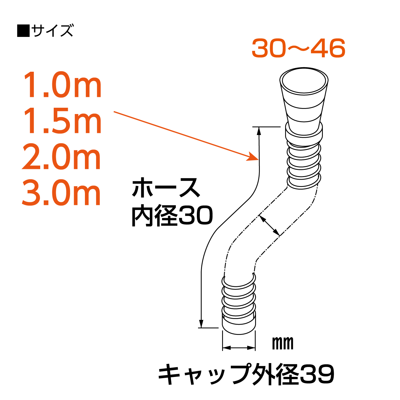 サイズ