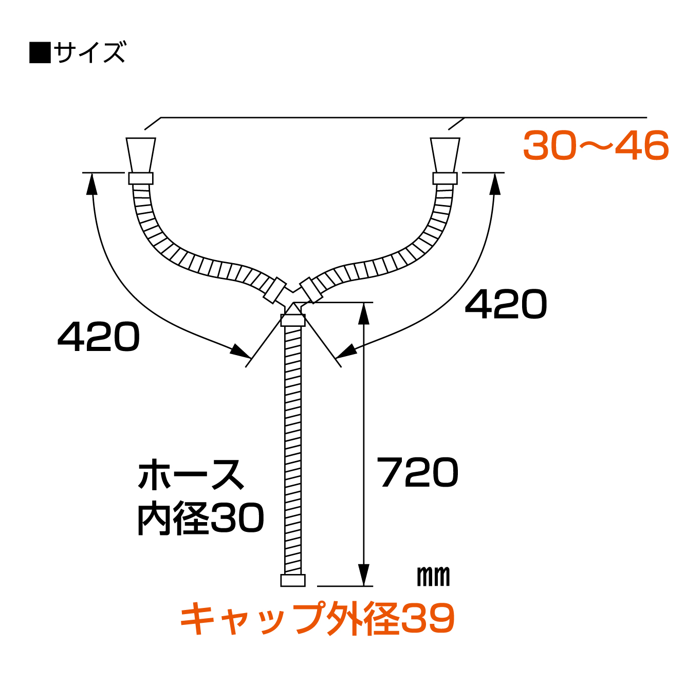 サイズ