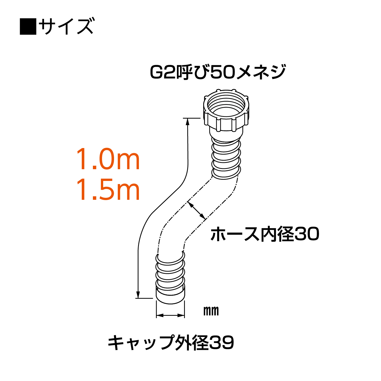 サイズ