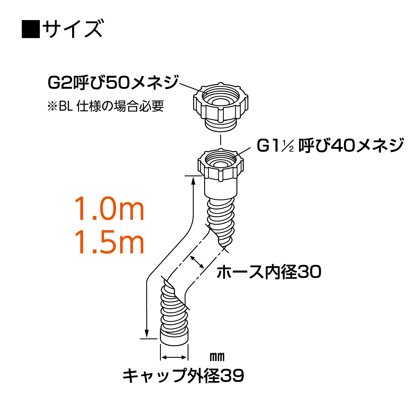 サイズ