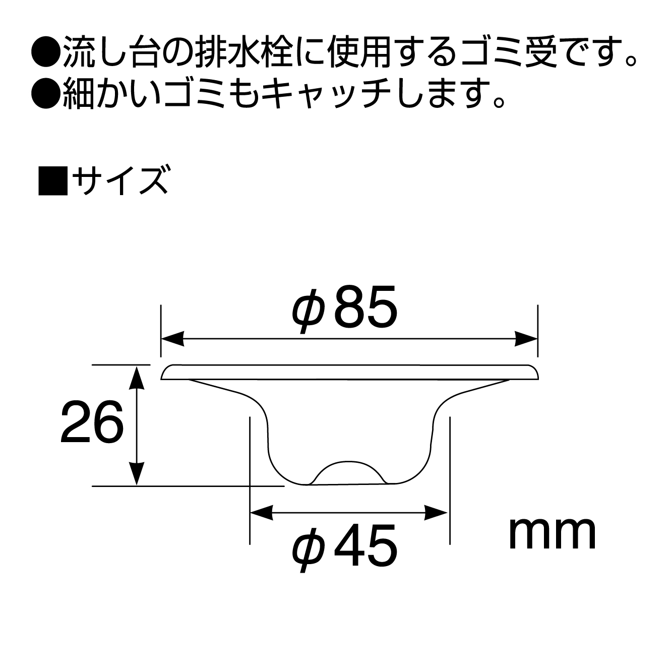 サイズ