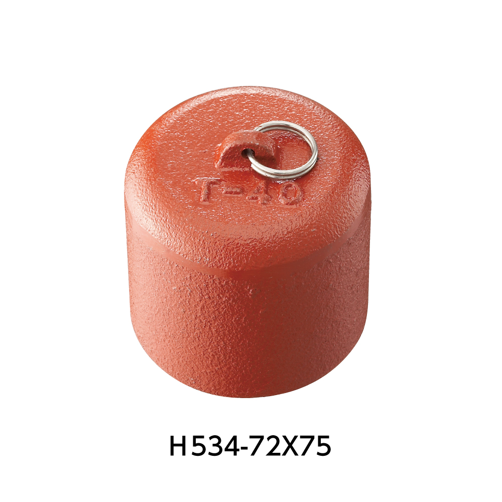 H534-72X75画像