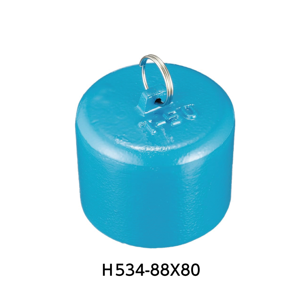 H534-88X80画像
