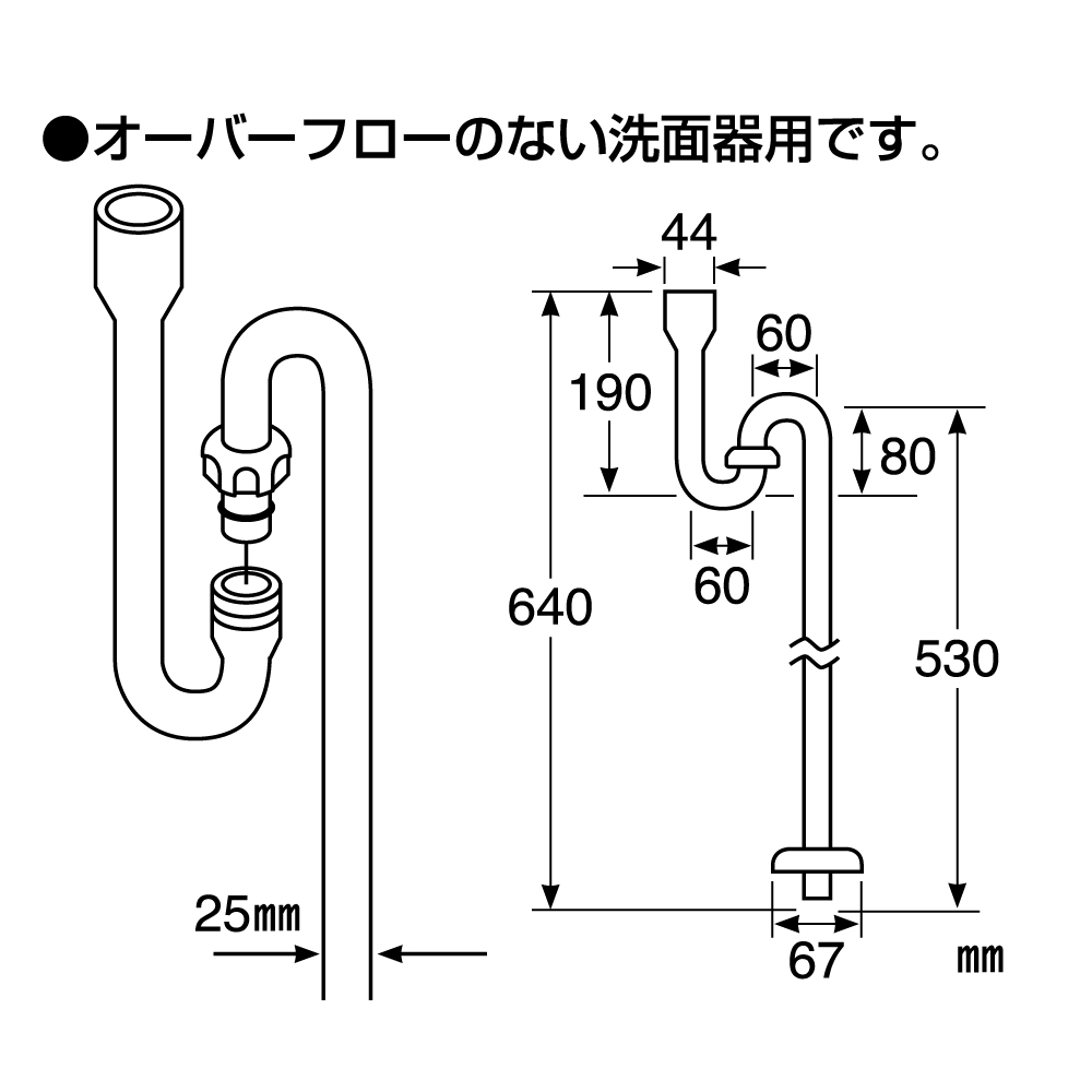 サイズ