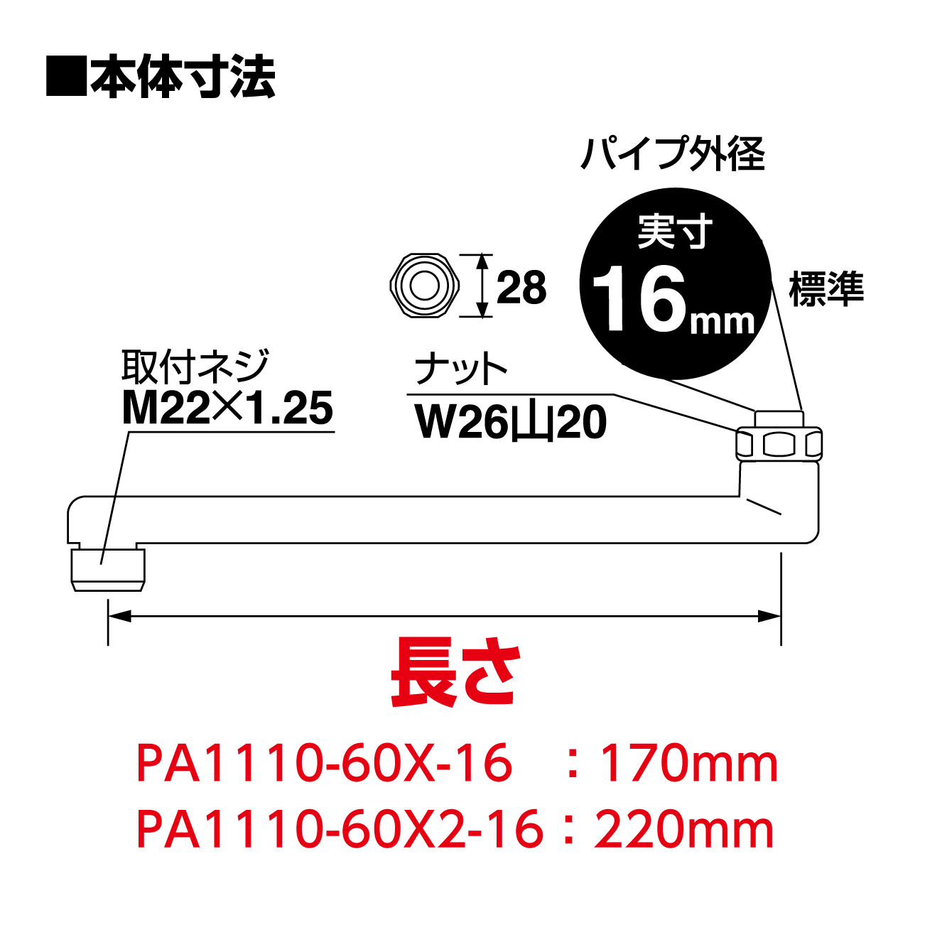 サイズ